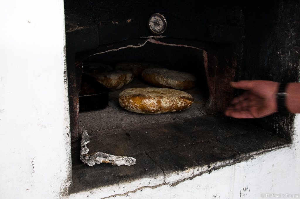 Pane appena cotto nel forno